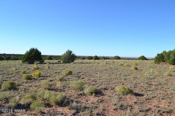 034 (hardy Ranch Concho, AZ 85924 - Photo 8 of 18