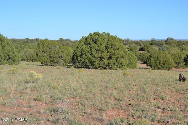 034 (hardy Ranch Concho, AZ 85924 - Photo 9 of 18