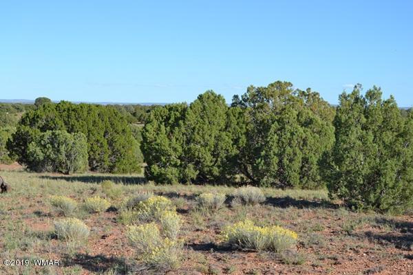 034 (hardy Ranch Concho, AZ 85924 - Photo 10 of 18