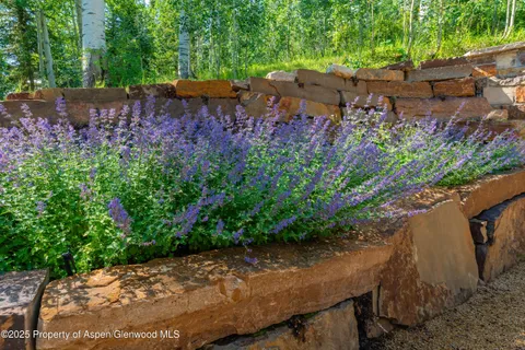 a view of a bunch of flowers