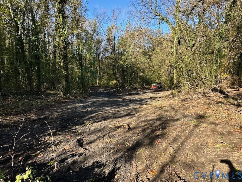 a view of dirt yard with trees