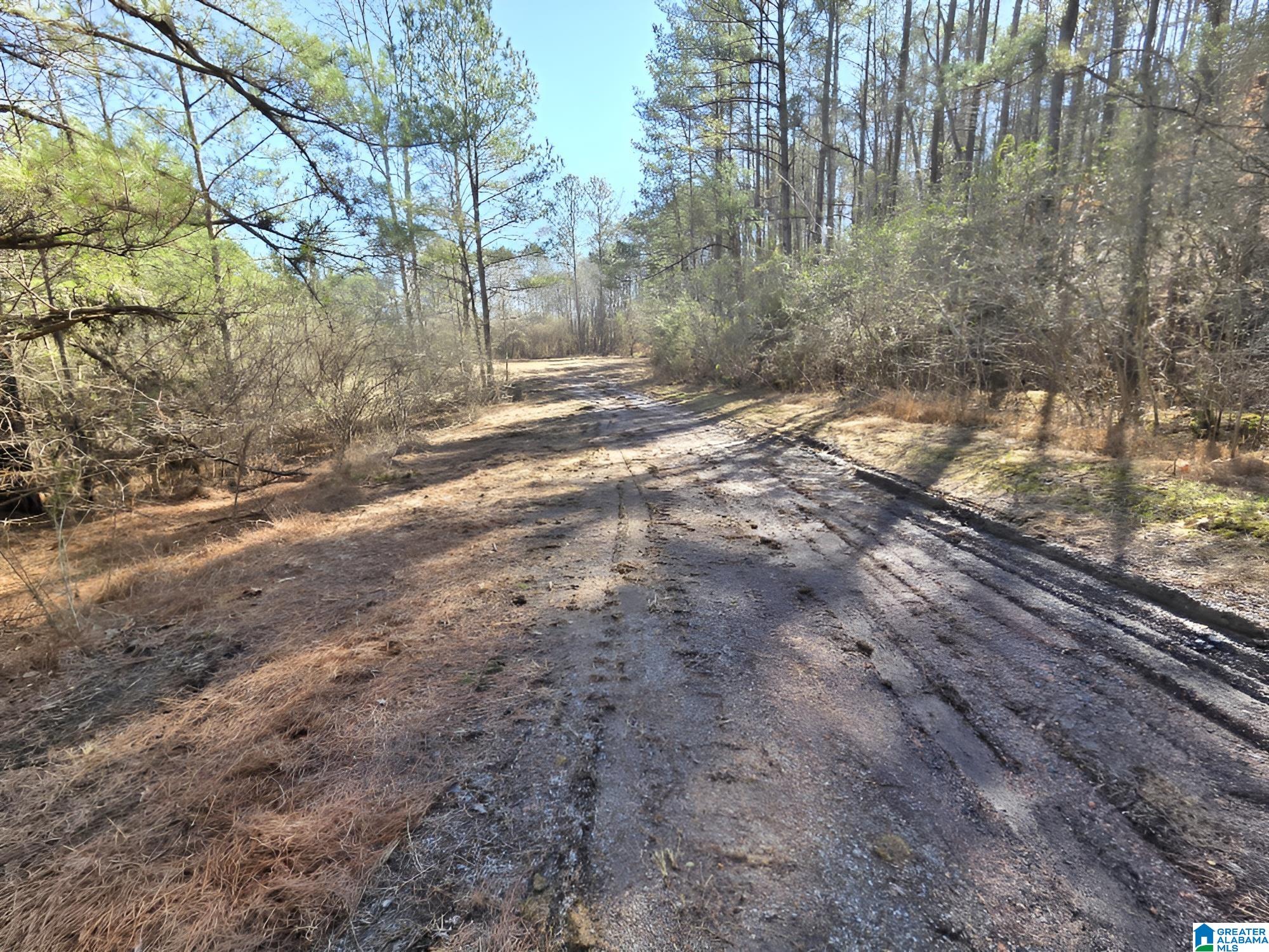1615 Blanton Road Parrish, AL 35580 - Photo 12 of 12 Gallery Image 12