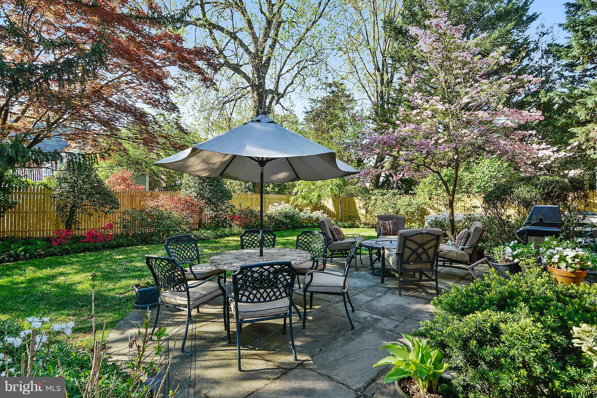 5509 Center Street Chevy Chase, MD 20815 - Photo 27 of 30 a view of backyard with outdoor seating and trees
