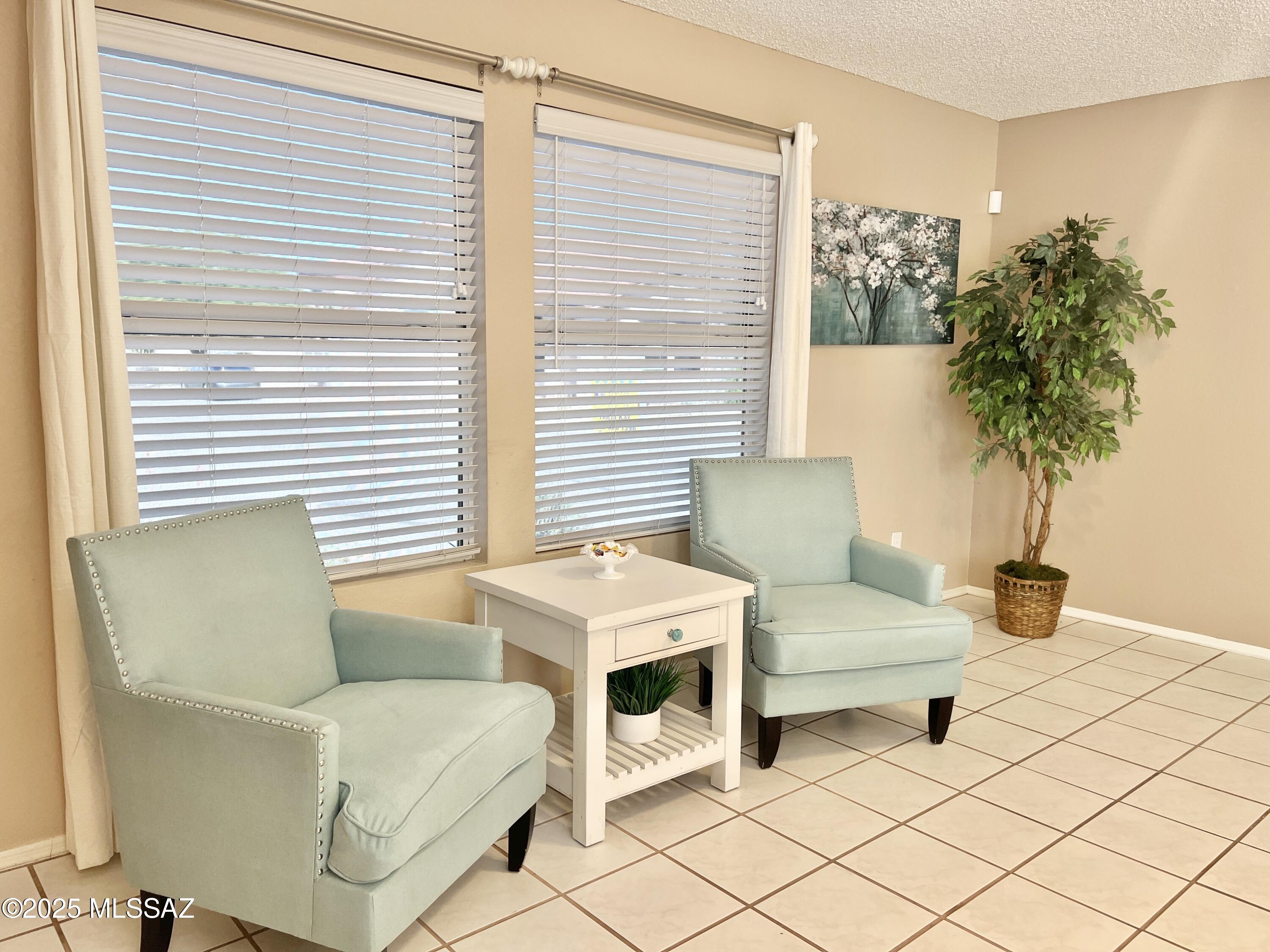 3601 West Sky Ridge Loop Tucson, AZ 85742 - Photo 14 of 31