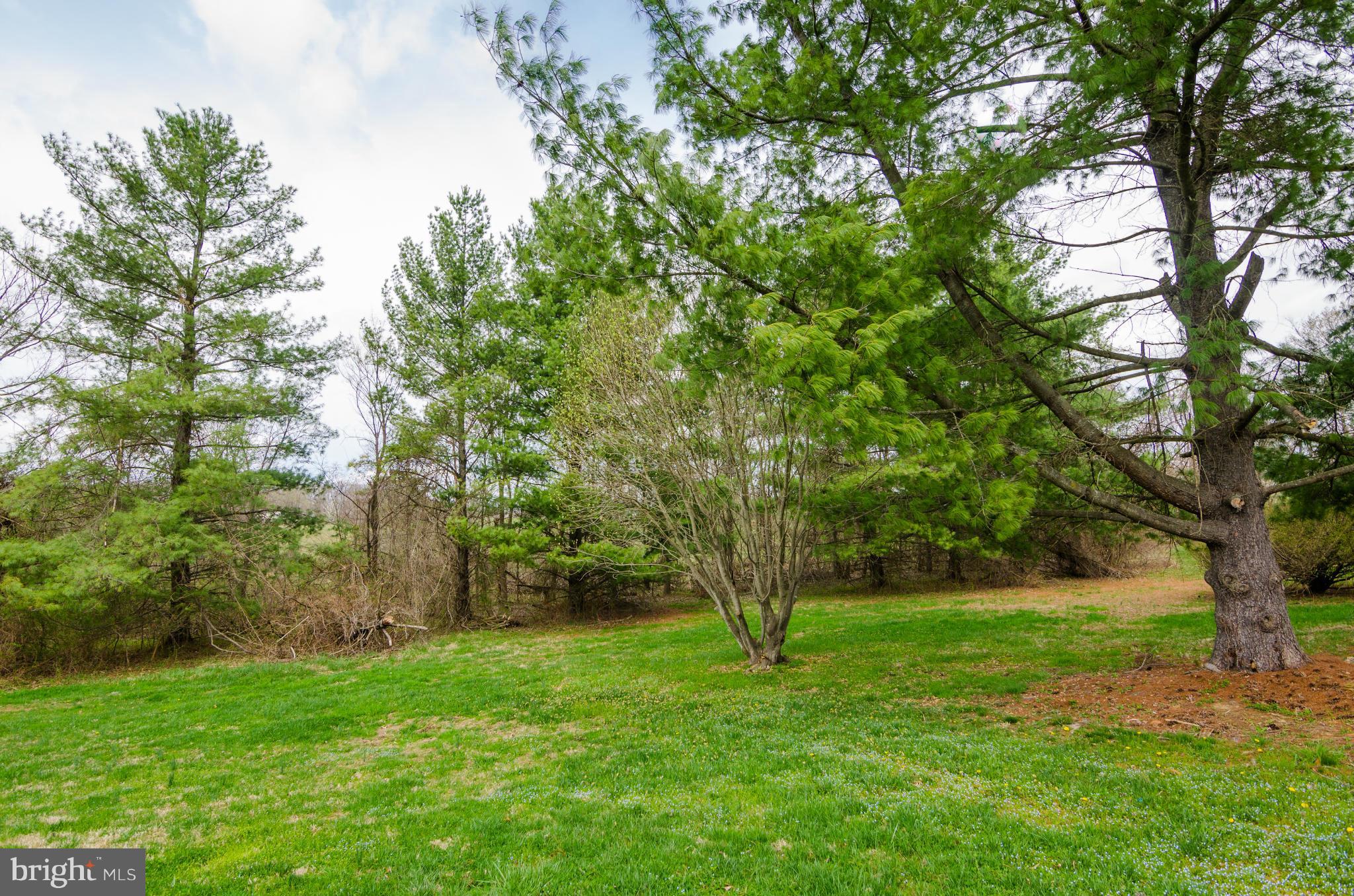 34901 Bloomfield Road Round Hill, VA 20141 - Photo 14 of 25 Exterior (General)