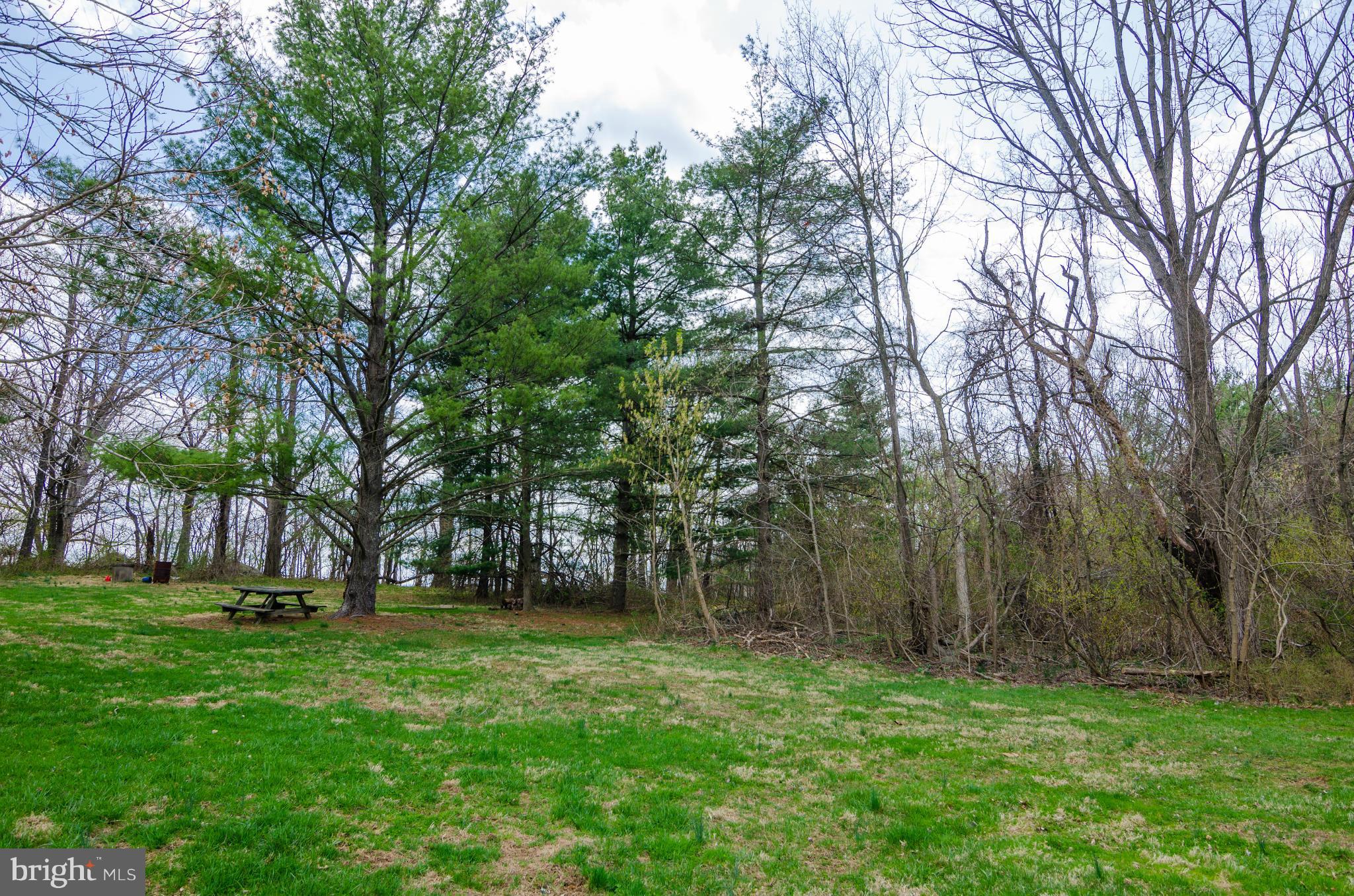 34901 Bloomfield Road Round Hill, VA 20141 - Photo 8 of 25 Exterior (General)