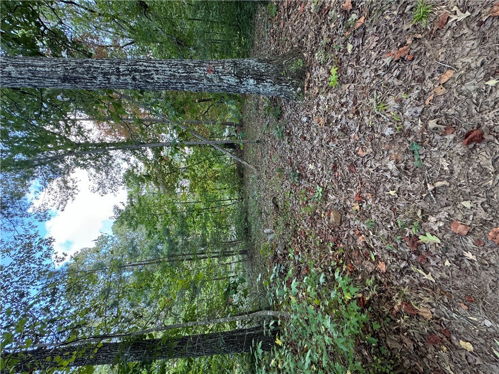 0 Katelynn Lane Seneca, SC 29672 - Photo 2 of 4