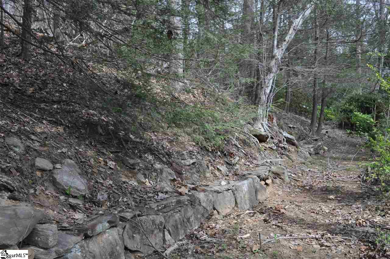 2902 Highway 176 Tryon, NC 28782 - Photo 11 of 34 Gallery Image 11
