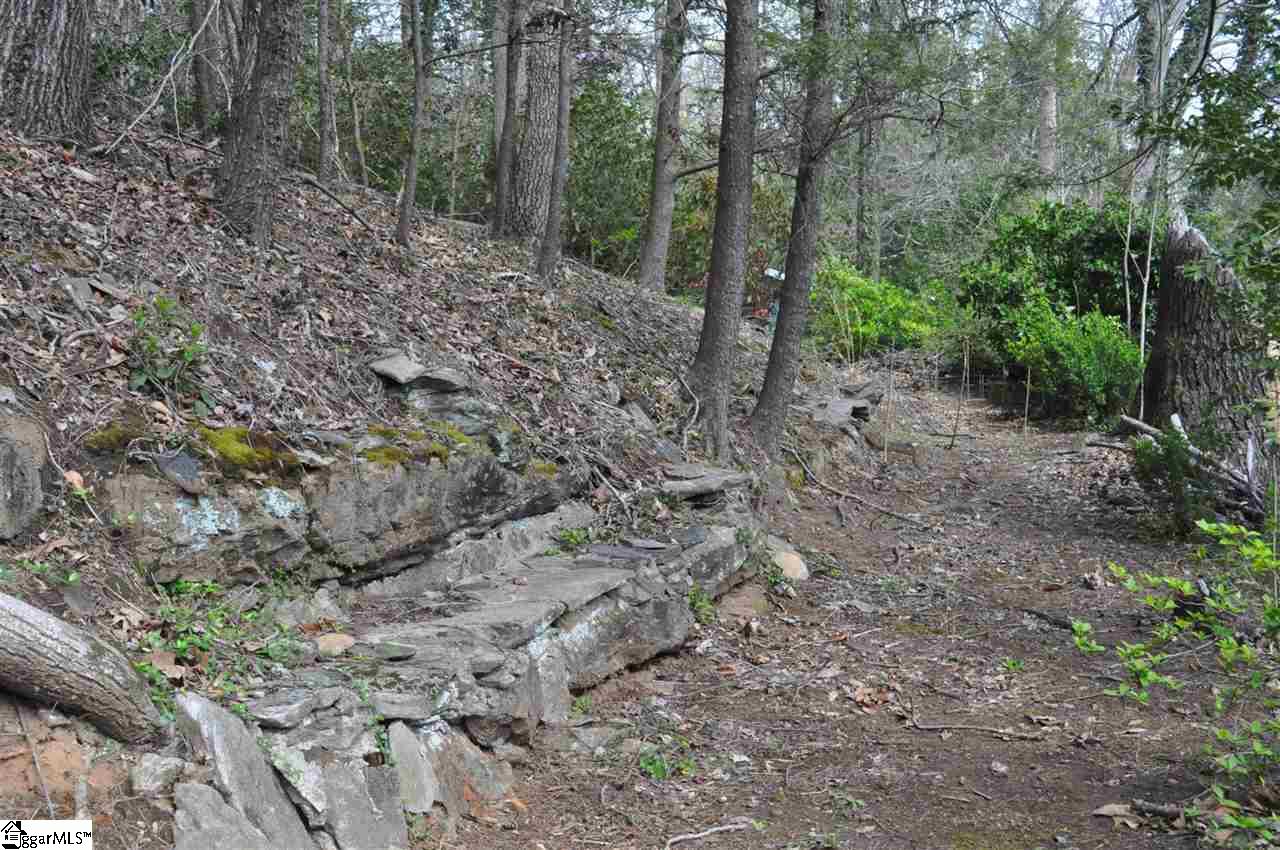 2902 Highway 176 Tryon, NC 28782 - Photo 12 of 34 Gallery Image 12