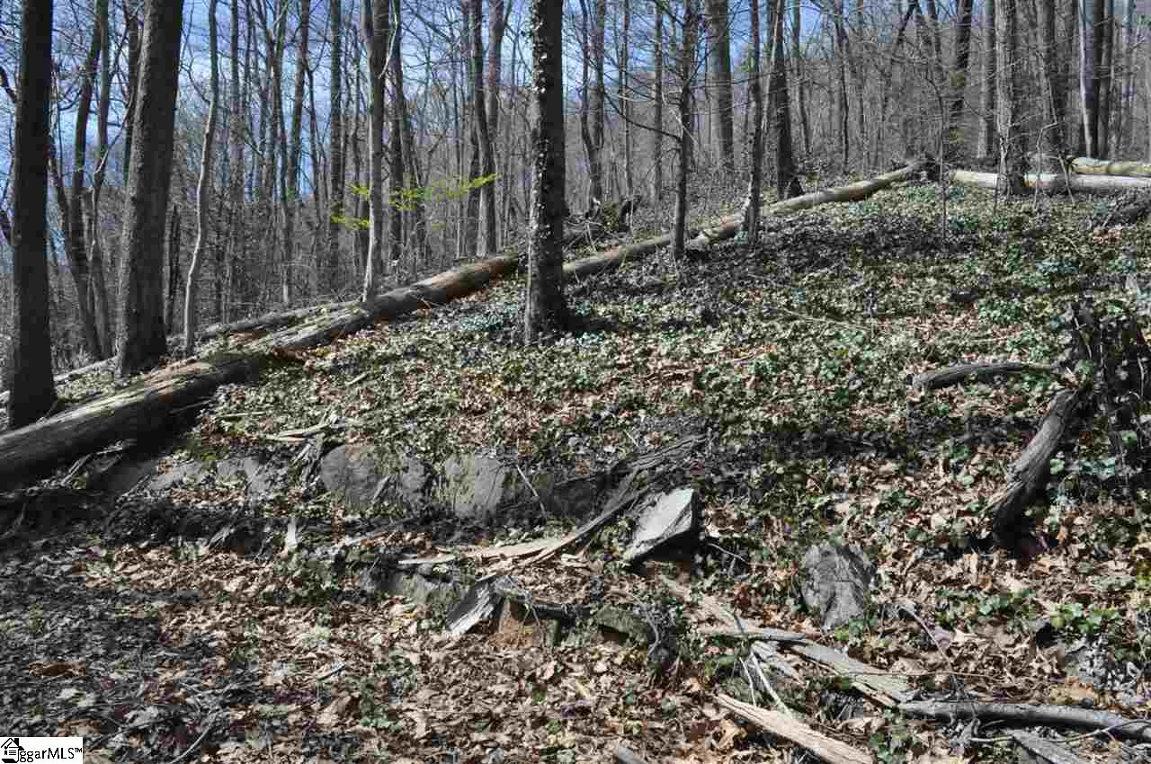 2902 Highway 176 Tryon, NC 28782 - Photo 14 of 34 Gallery Image 14