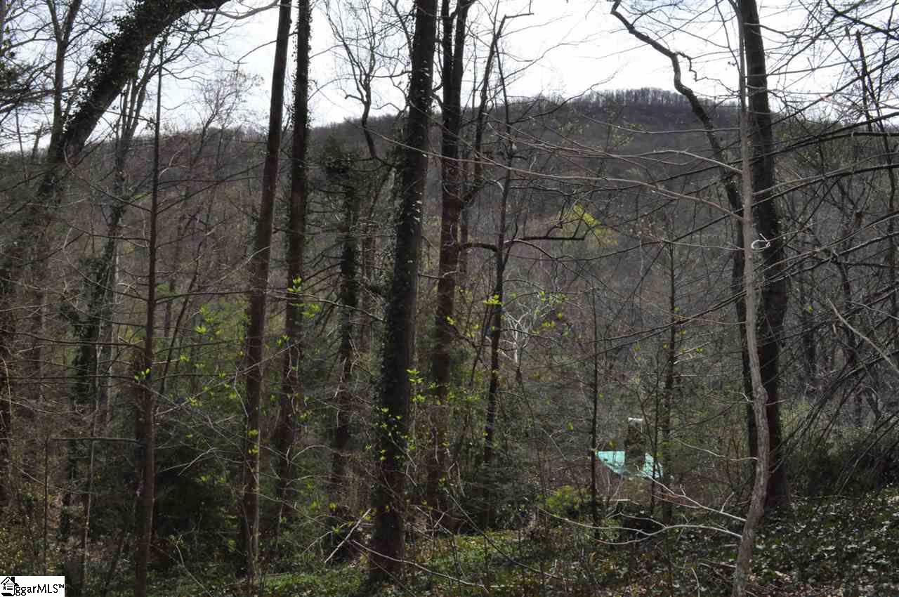 2902 Highway 176 Tryon, NC 28782 - Photo 15 of 34 Gallery Image 15