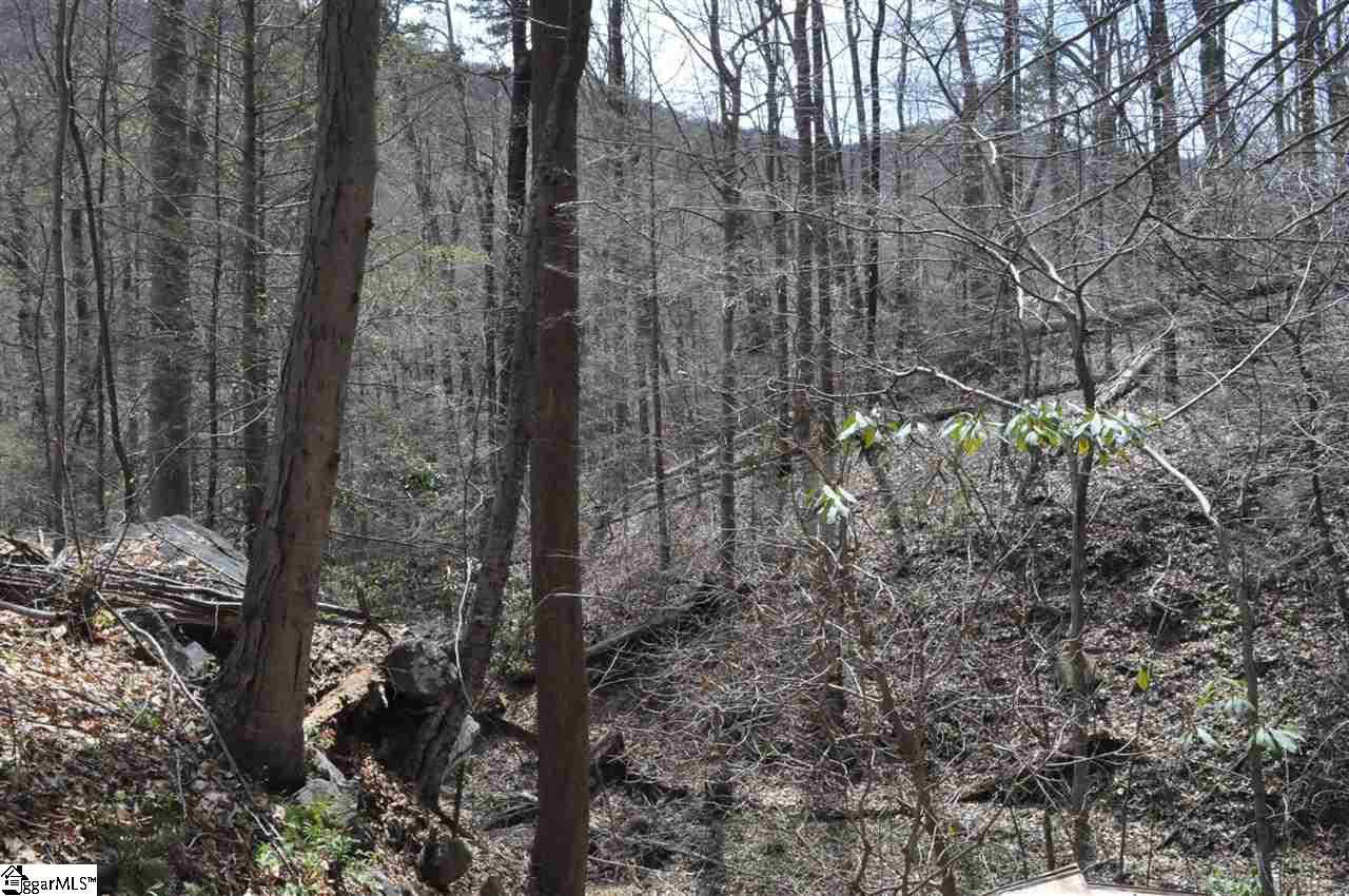 2902 Highway 176 Tryon, NC 28782 - Photo 19 of 34 Gallery Image 19