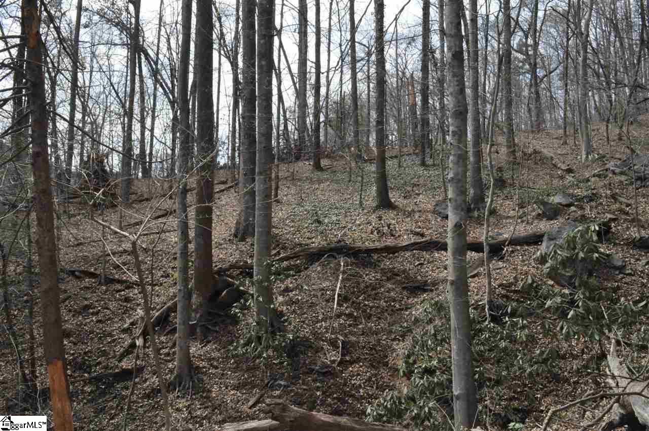 2902 Highway 176 Tryon, NC 28782 - Photo 20 of 34 Gallery Image 20