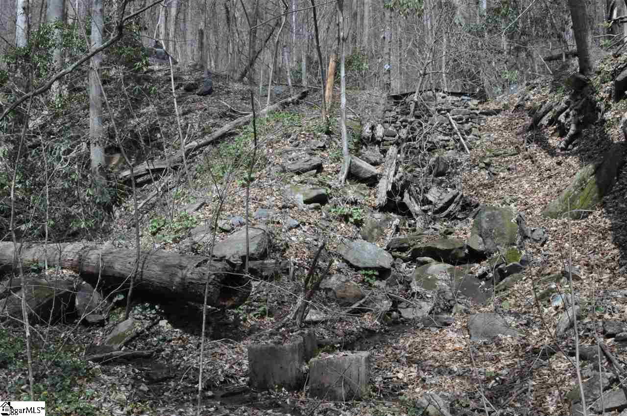 2902 Highway 176 Tryon, NC 28782 - Photo 26 of 34 Gallery Image 26