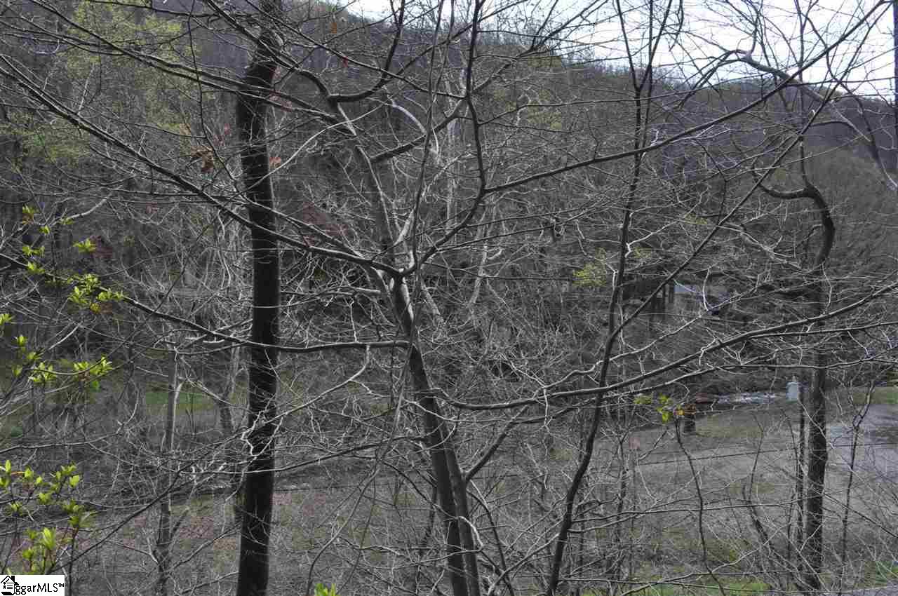 2902 Highway 176 Tryon, NC 28782 - Photo 27 of 34 View of the river and mountain across the road.