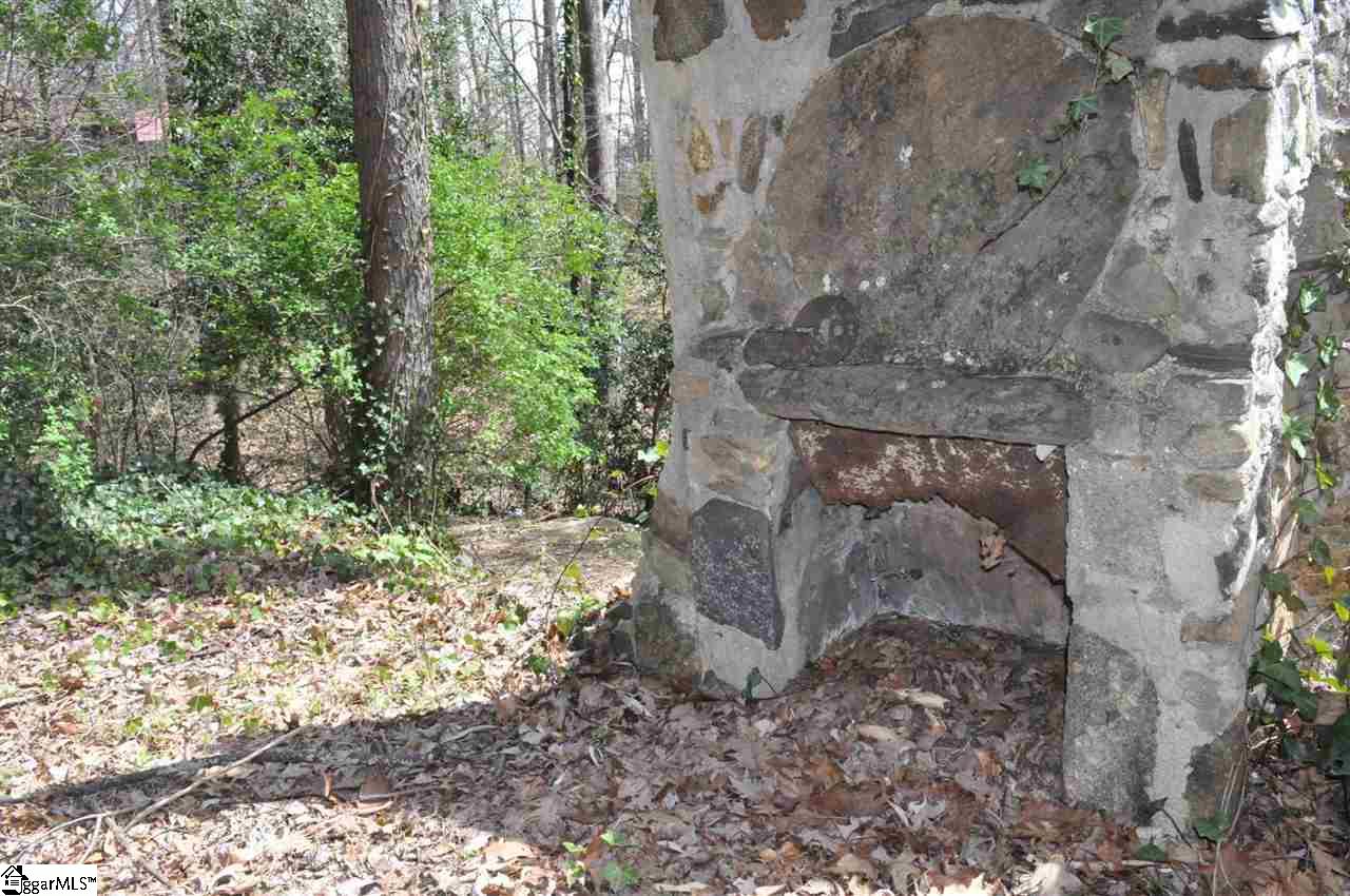 2902 Highway 176 Tryon, NC 28782 - Photo 9 of 34 Gallery Image 9