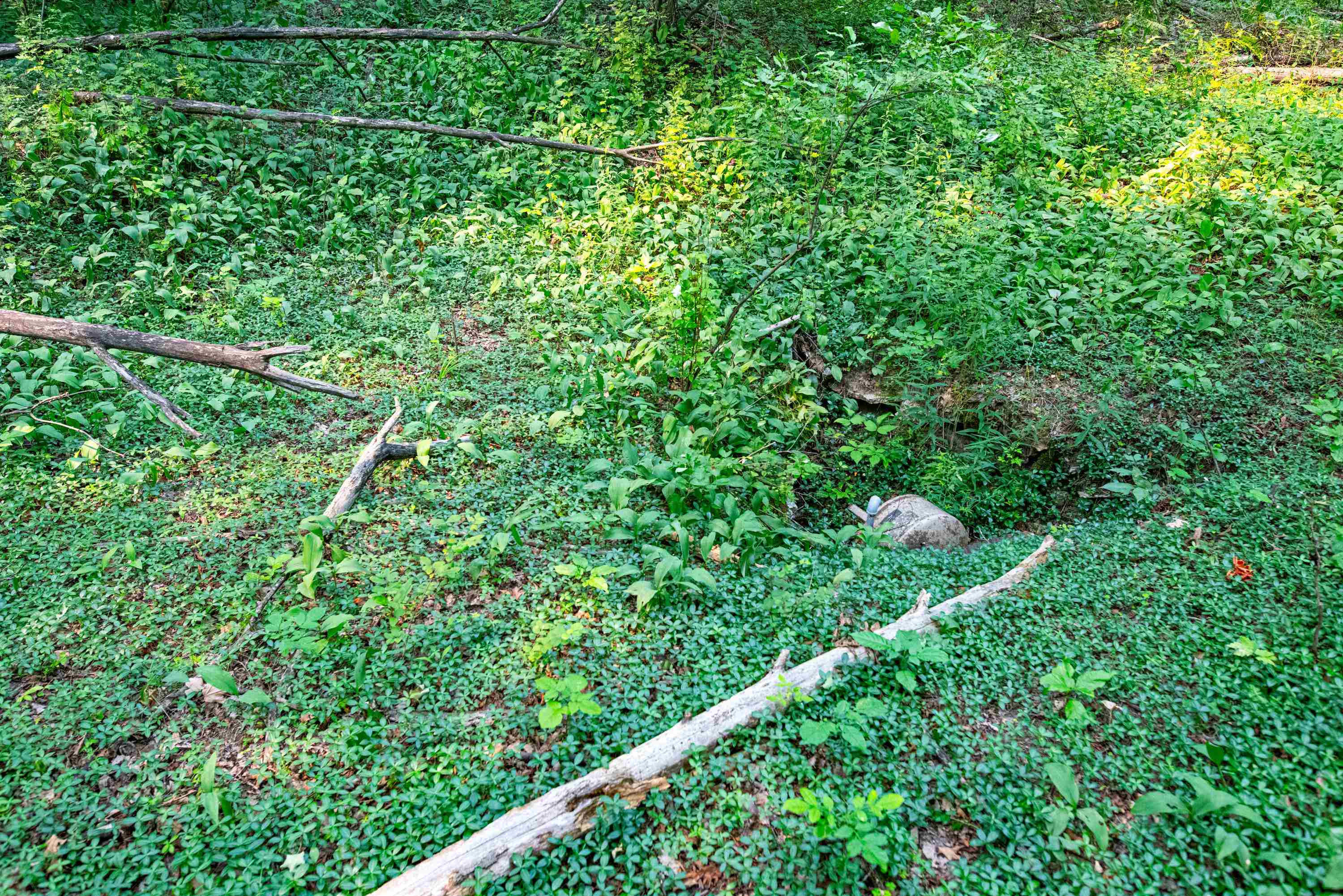 0 East Grandview Road Traverse City, MI 49684 - Photo 11 of 24