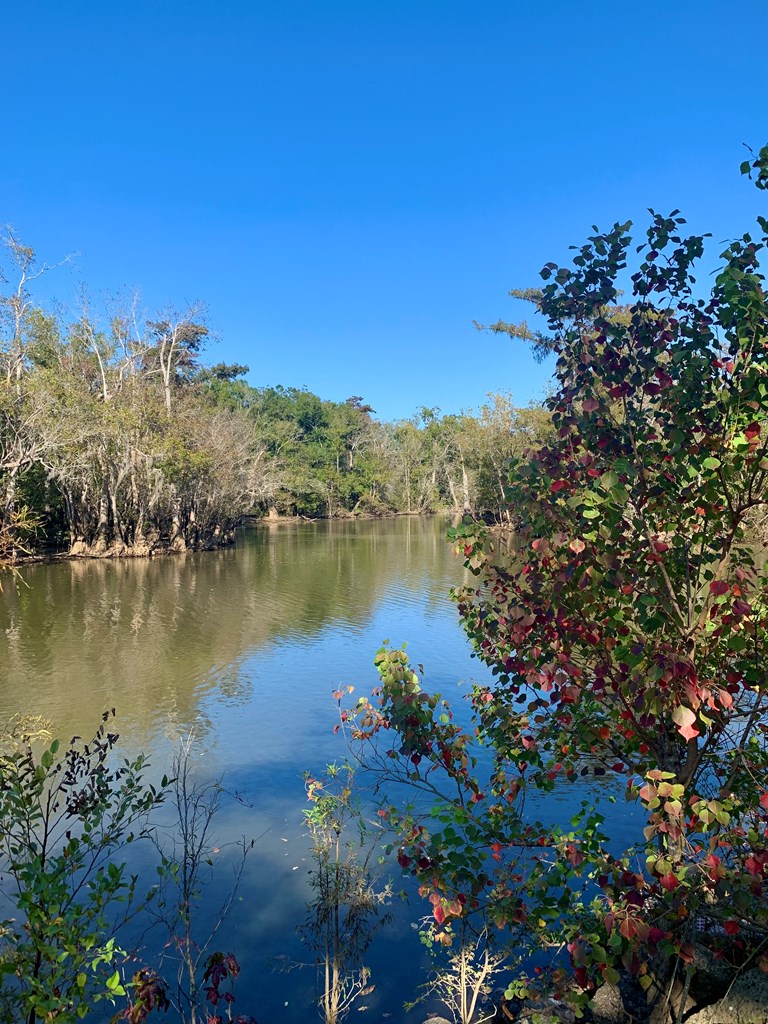 Lot 8 Riverside Circle Wewahitchka, FL 32465 - Photo 11 of 23