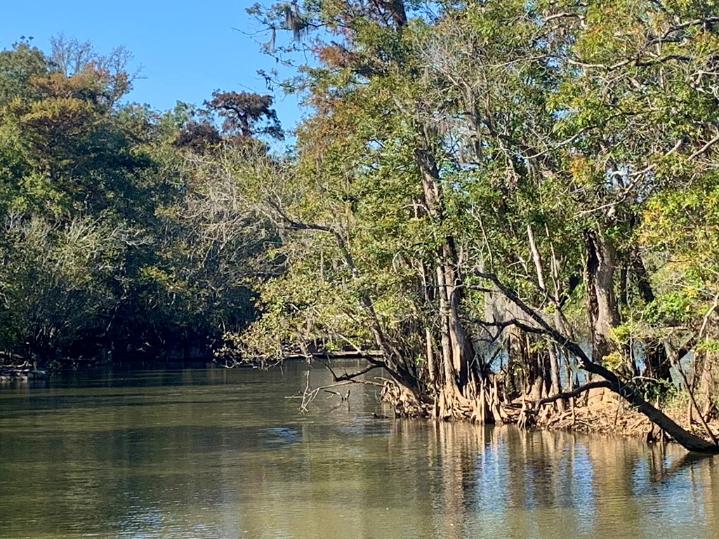 Lot 8 Riverside Circle Wewahitchka, FL 32465 - Photo 12 of 23