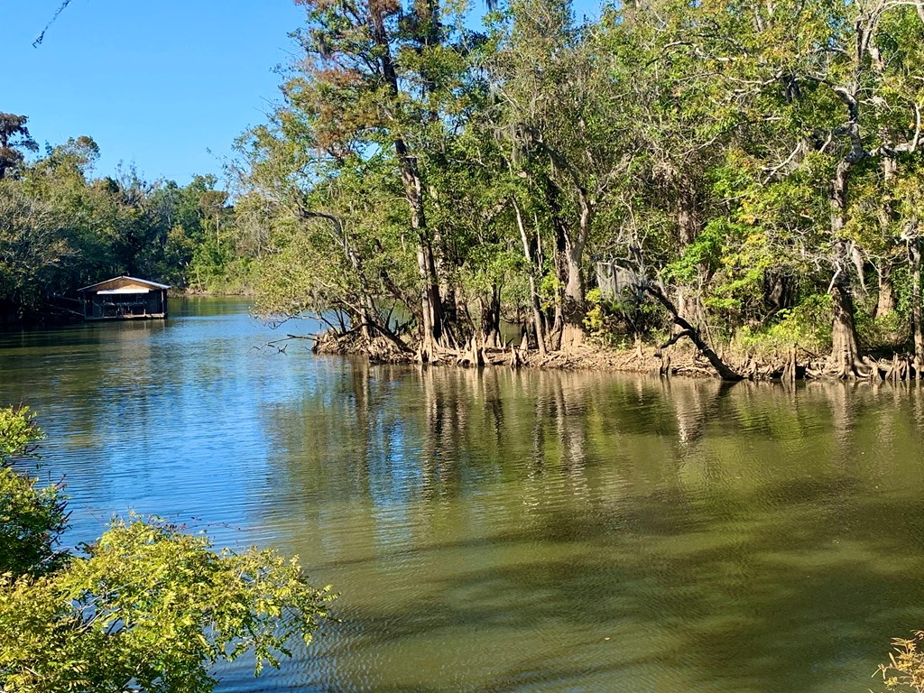 Lot 8 Riverside Circle Wewahitchka, FL 32465 - Photo 13 of 23