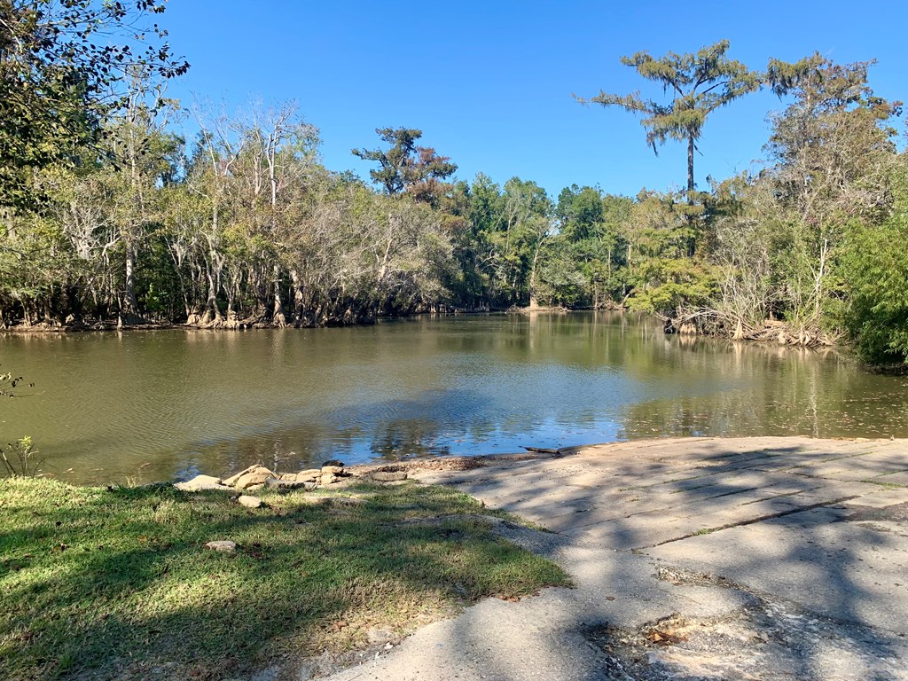 Lot 8 Riverside Circle Wewahitchka, FL 32465 - Photo 16 of 23