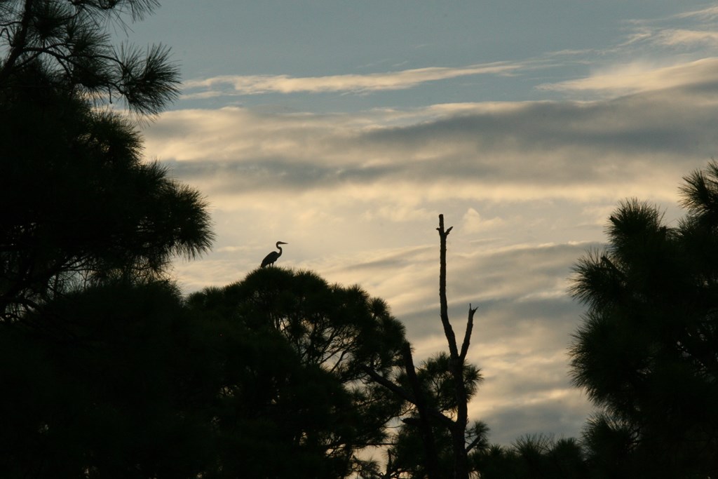 Lot 8 Riverside Circle Wewahitchka, FL 32465 - Photo 23 of 23