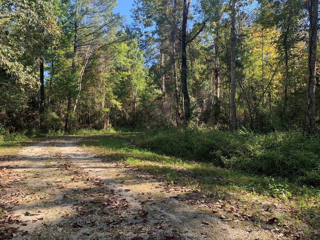Lot 8 Riverside Circle Wewahitchka, FL 32465 - Photo 3 of 23