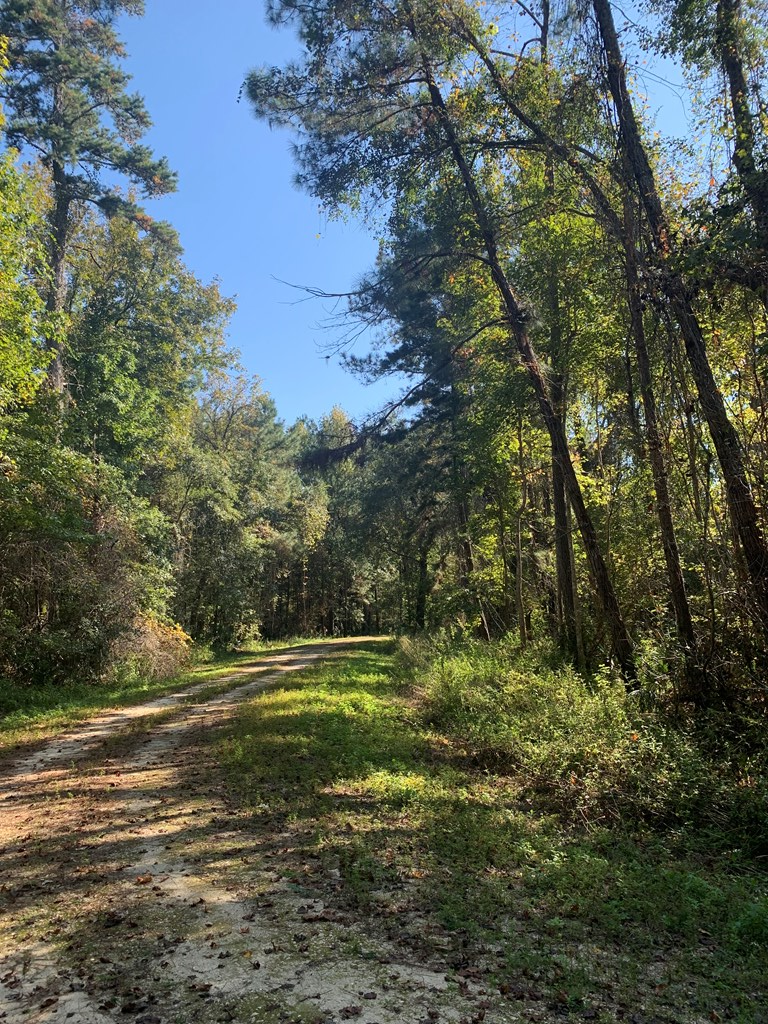 Lot 8 Riverside Circle Wewahitchka, FL 32465 - Photo 6 of 23