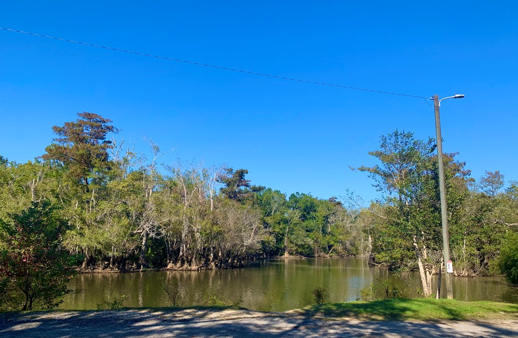 Lot 8 Riverside Circle Wewahitchka, FL 32465 - Photo 10 of 23