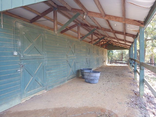 Gallery Image 7