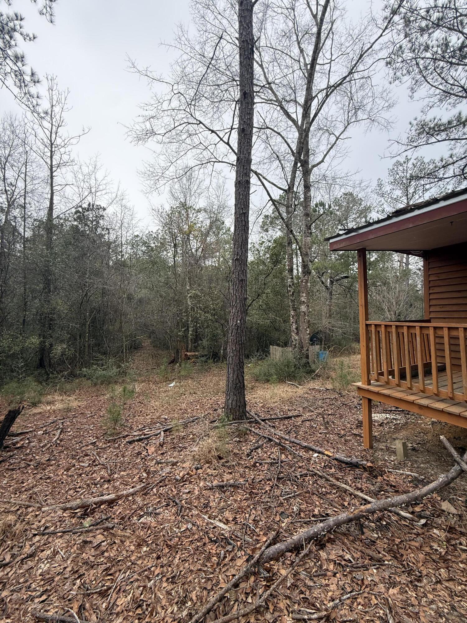 2483 Jordan Road Flomaton, AL 36441 - Photo 3 of 28 a backyard of a house with lots of green space
