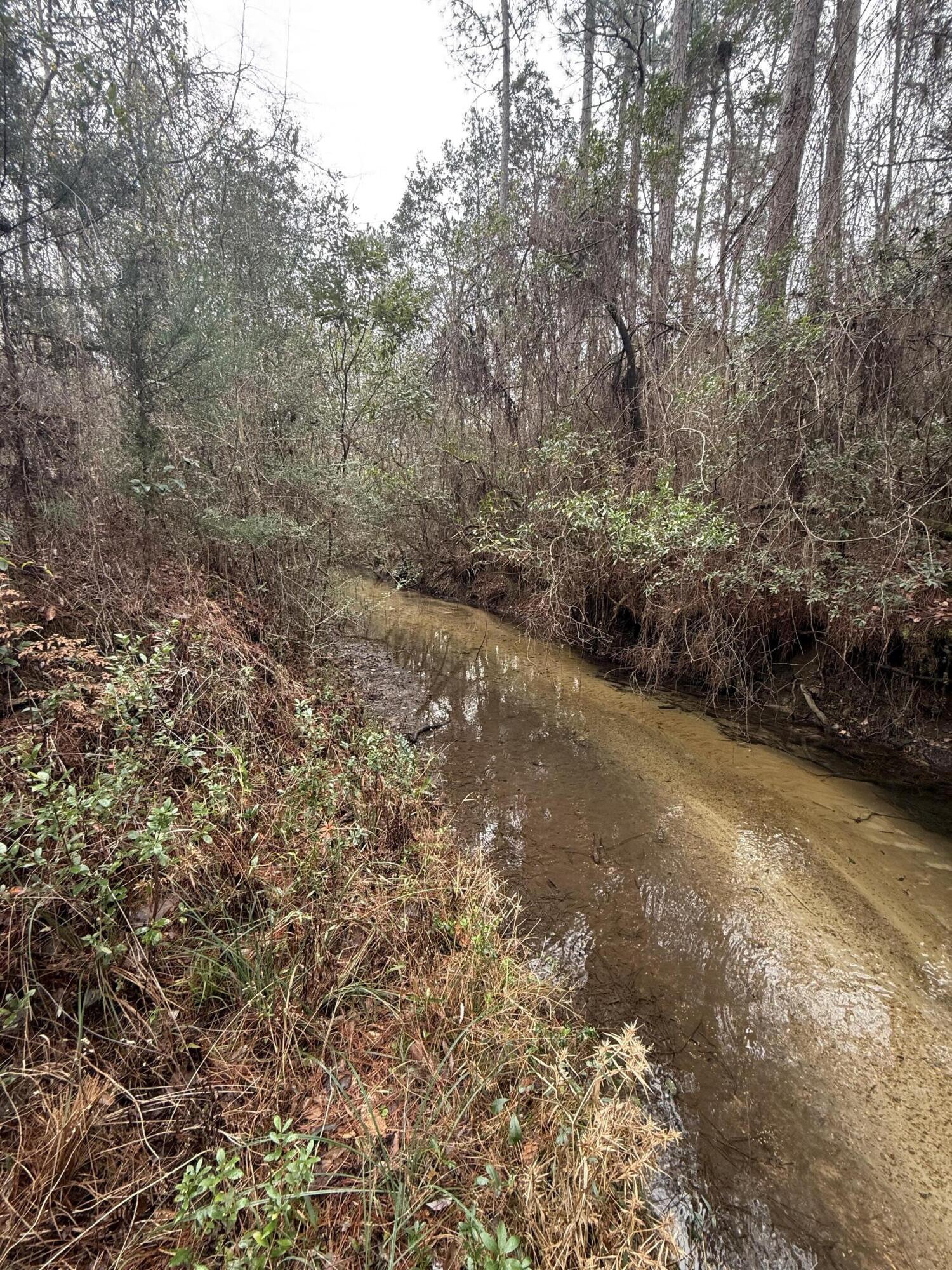 2483 Jordan Road Flomaton, AL 36441 - Photo 6 of 28 a view of a field with an trees