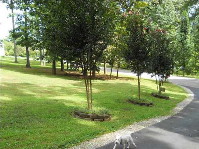 2110 Torbett Road Spring City, TN 37381 - Photo 3 of 12 Additional Photo