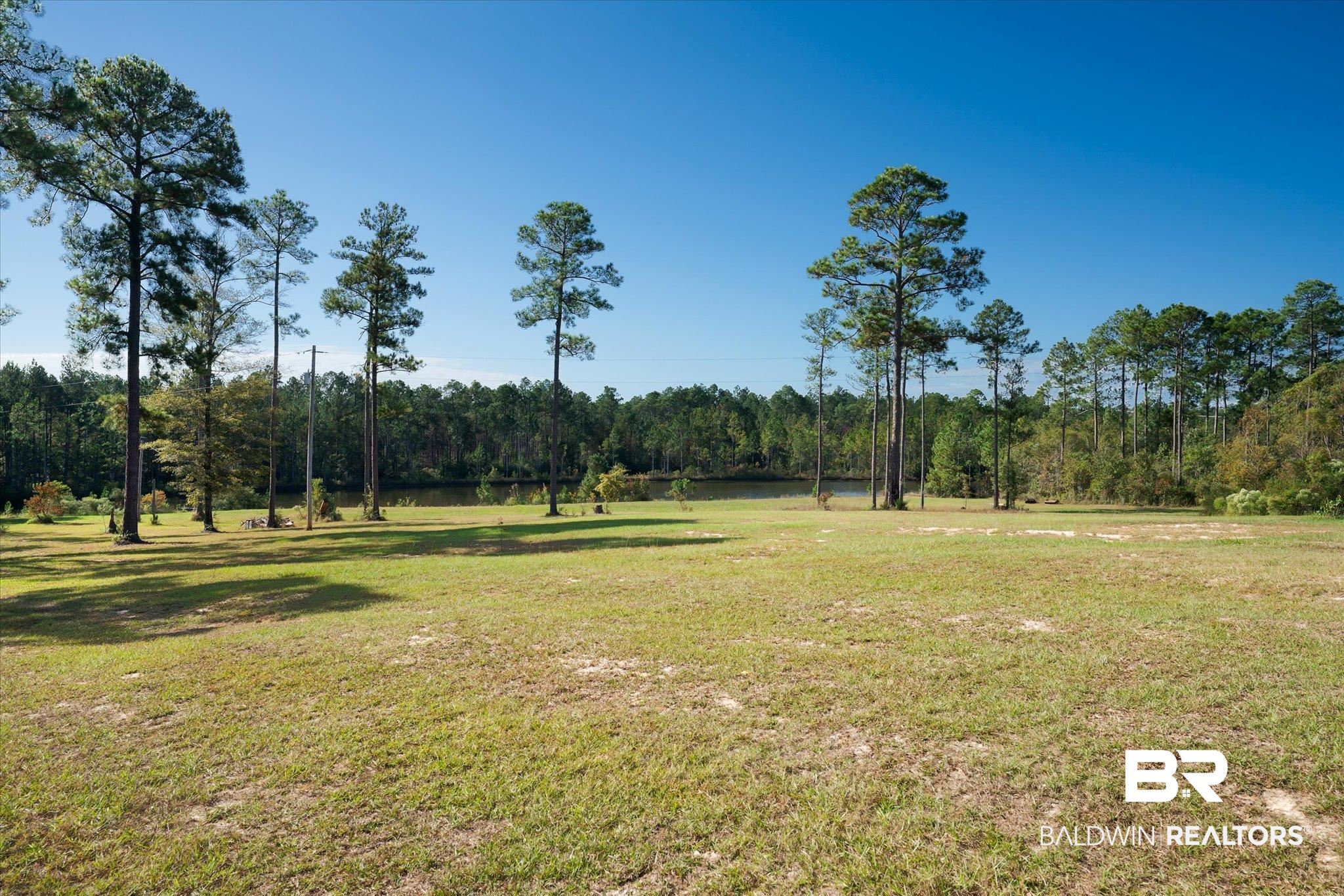 890 Jelks Road Wagarville, AL 36585 - Photo 39 of 50