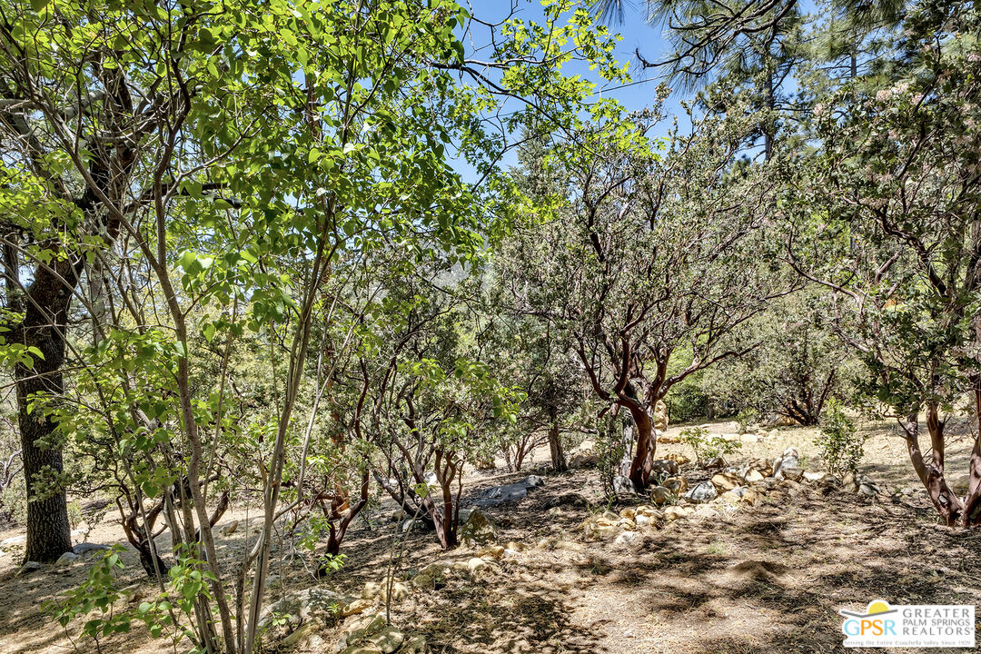 25465 Seneca Road Idyllwild, CA 92549 - Photo 6 of 71