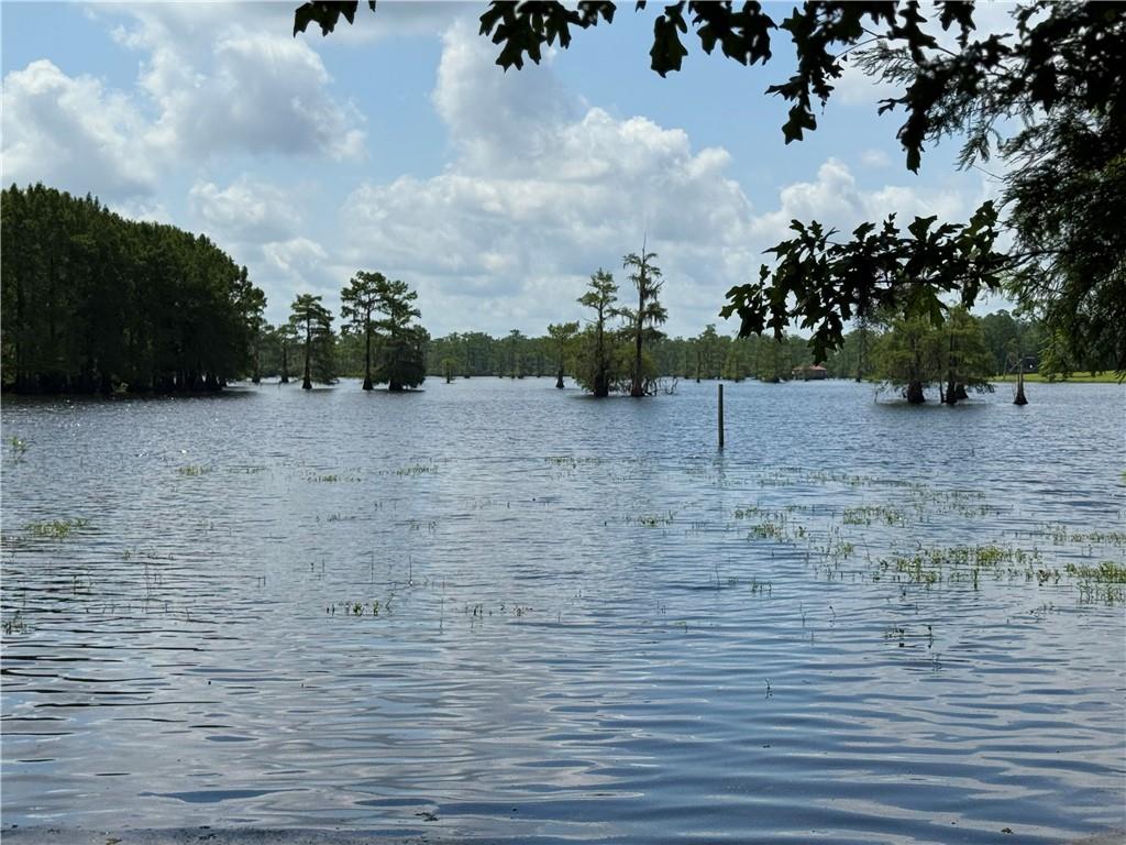 602 Claudes Road Colfax, LA 71417 - Photo 13 of 52 Gallery Image 13