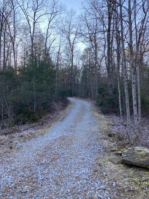 142 Cole Road Deer Lodge, TN 37726 - Photo 43 of 77 20220322195745499850000000-o