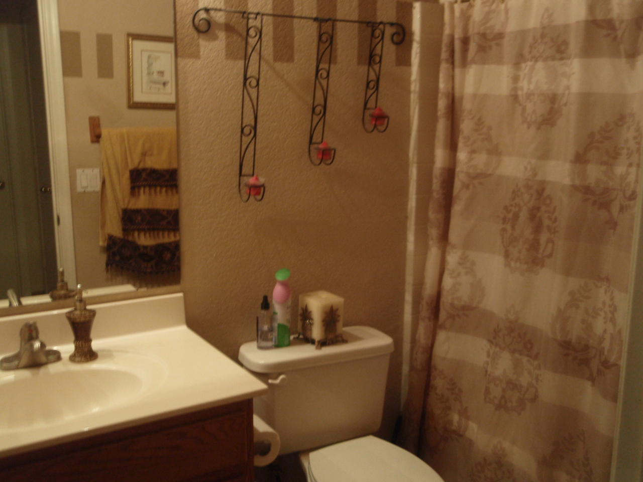 8715 West Granada Road Phoenix, AZ 85037 - Photo 13 of 17 Guest bathroom
