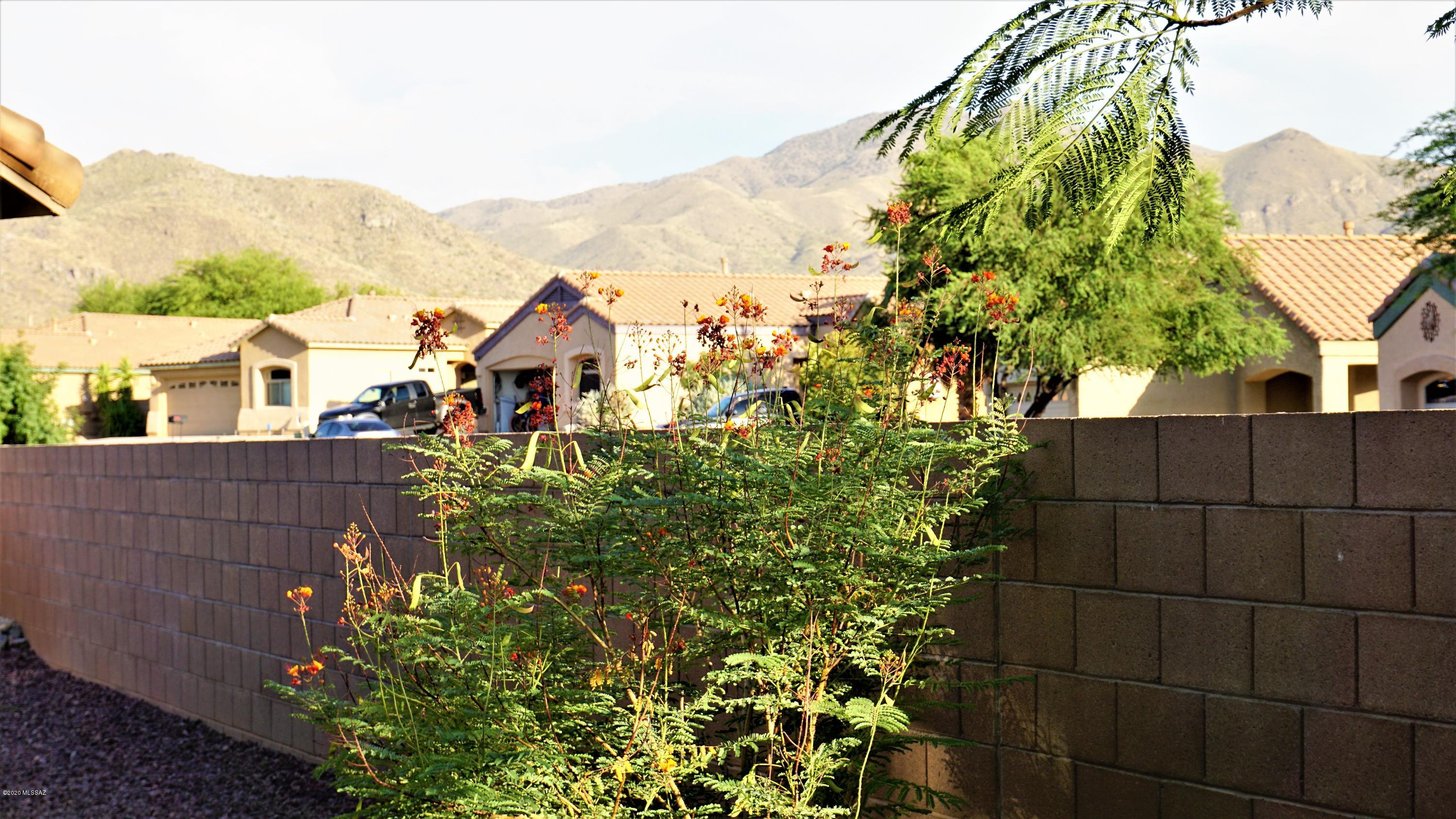 492 South Lower Chord Road Vail, AZ 85641 - Photo 25 of 27