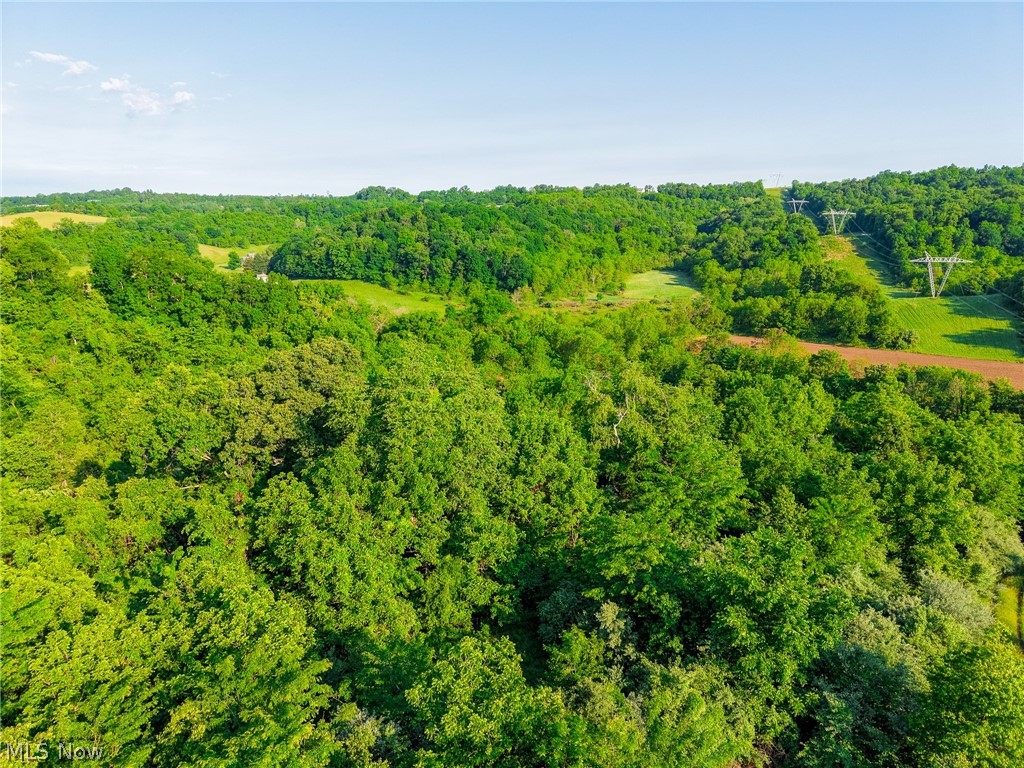 12680 Old Riley Road, Unit 3 Frazeysburg, OH 43822 - Photo 29 of 36
