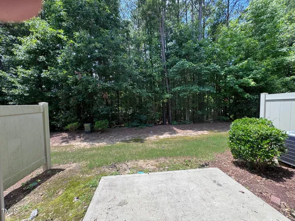 a view of a backyard with a plants and trees