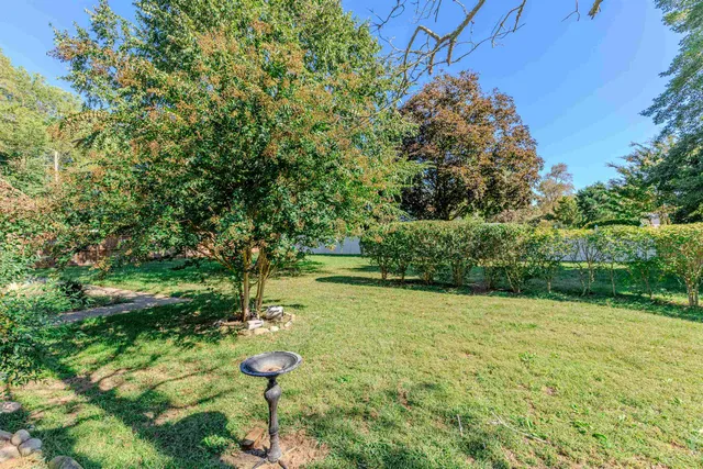 a couches with white walls