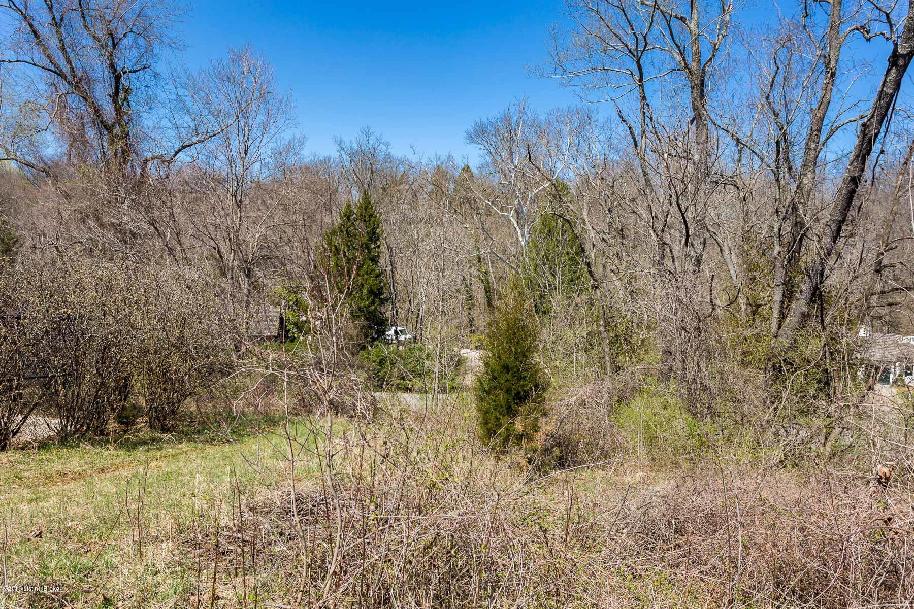 73 Westwind Road Louisville, KY 40207 - Photo 17 of 20 Grounded View