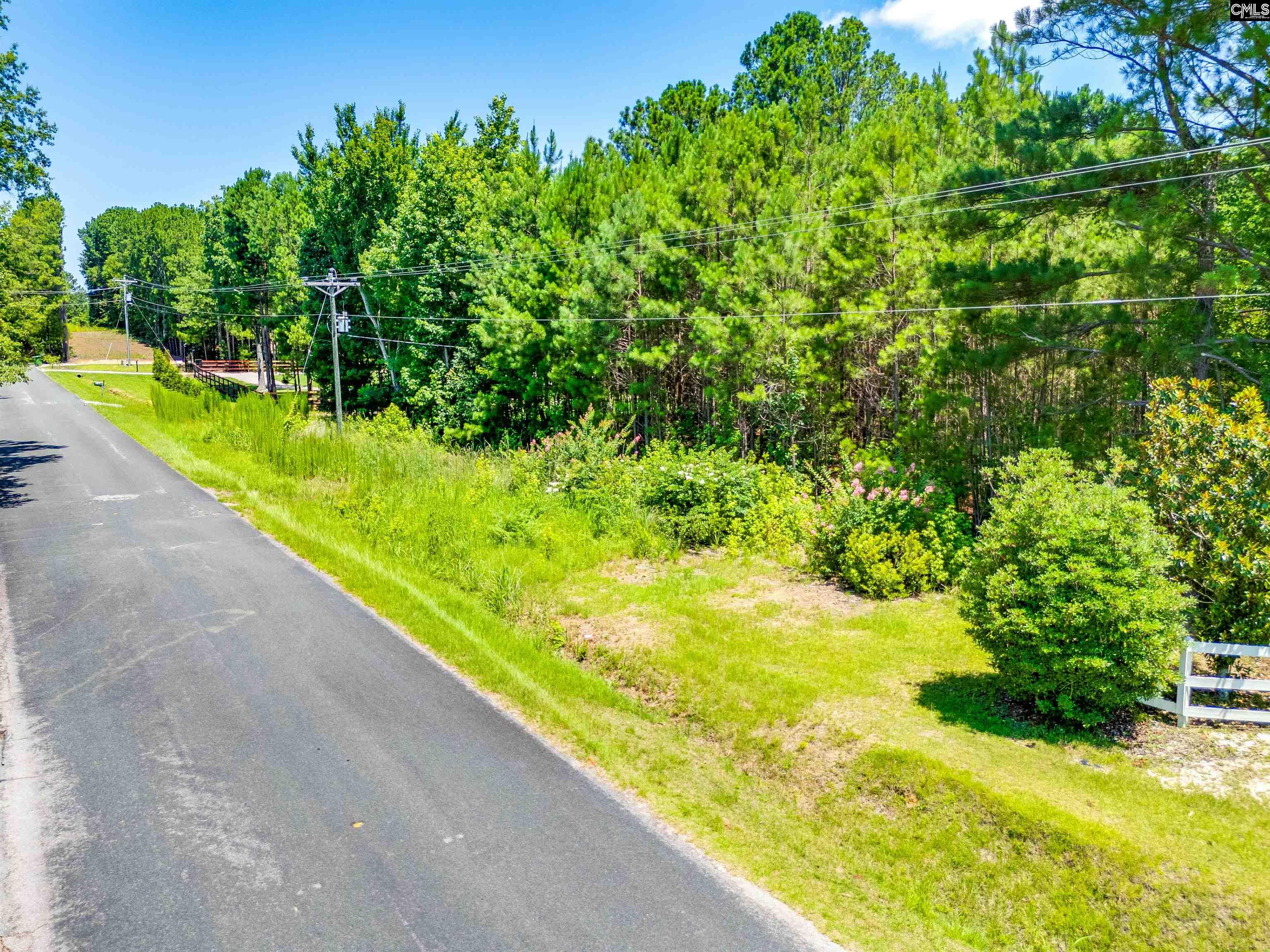 1021 State Rd S-40-1692 Blythewood, SC 29016 - Photo 12 of 12