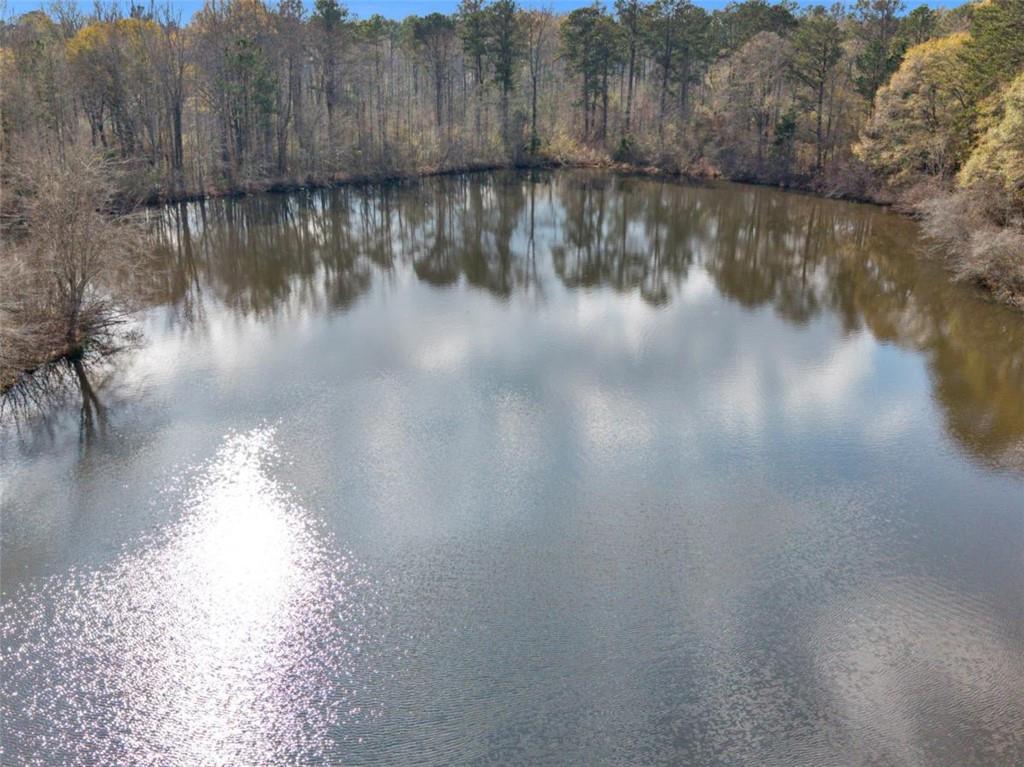 481 Turner Road Concord, GA 30206 - Photo 40 of 44 a view of a lake view