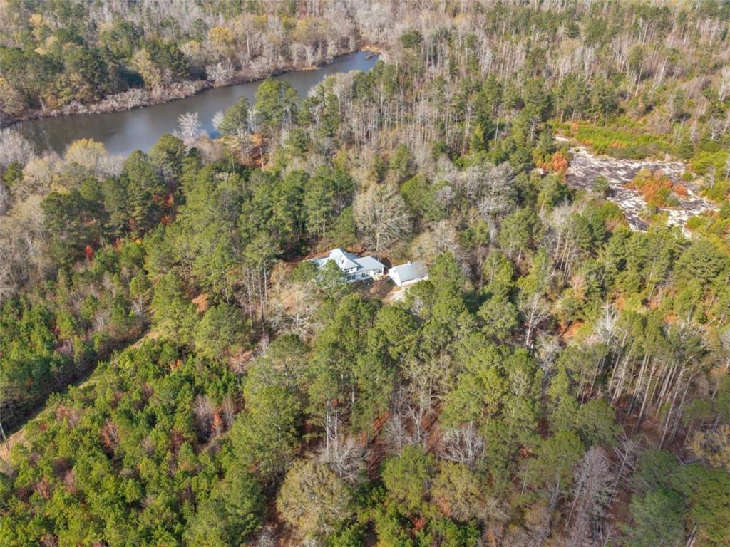 481 Turner Road Concord, GA 30206 - Photo 4 of 44 a view of a lake with a forest