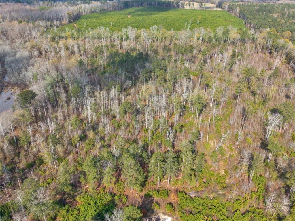 481 Turner Road Concord, GA 30206 - Photo 44 of 44 a view of a lake view with a garden