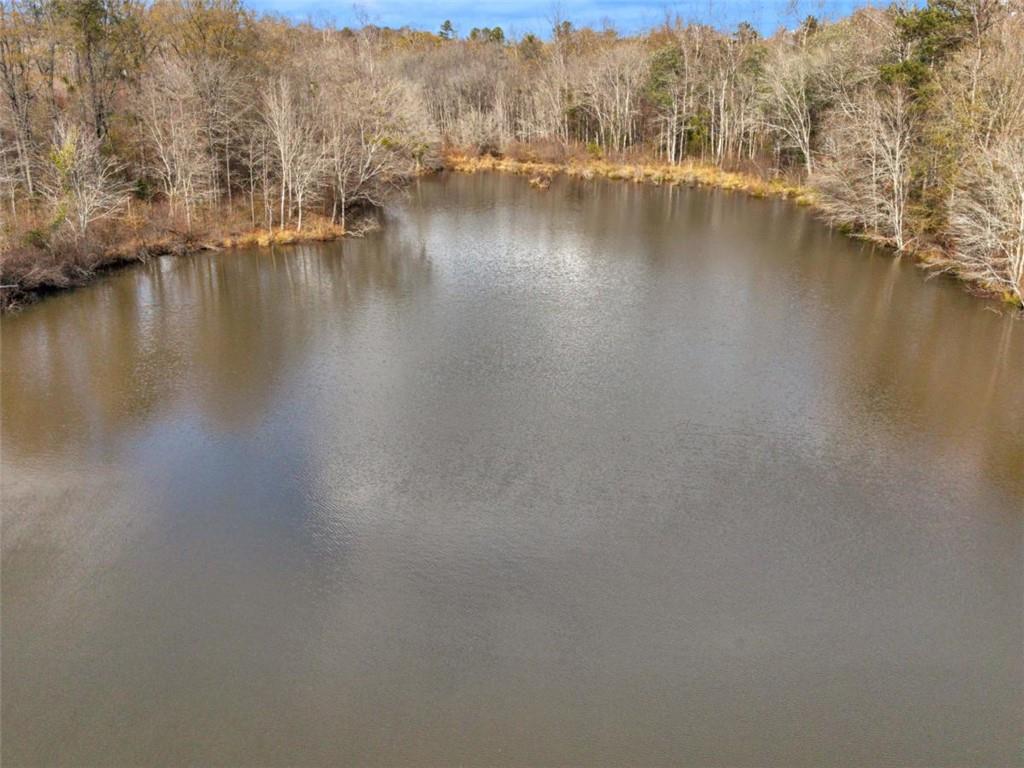 481 Turner Road Concord, GA 30206 - Photo 6 of 44 a view of a lake with houses