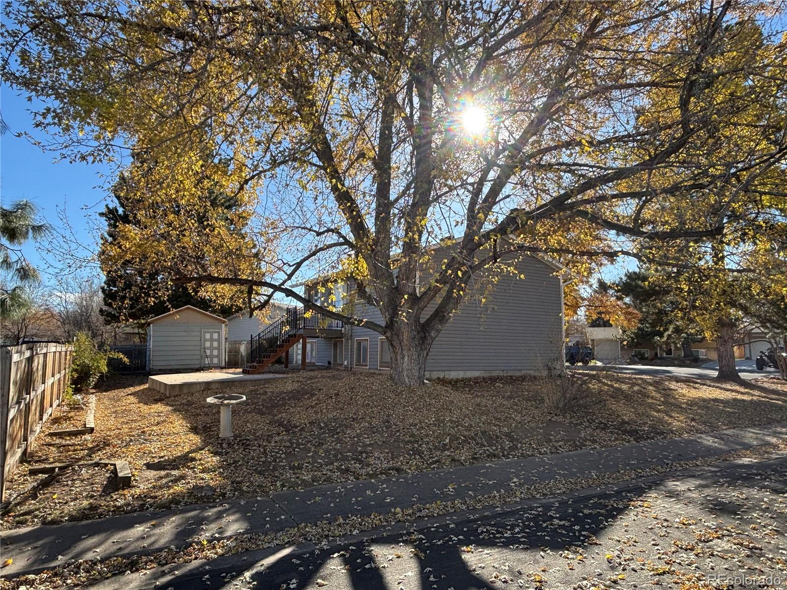 9162 Cody Street Broomfield, CO 80021 - Photo 26 of 29 a view of a yard with a tree