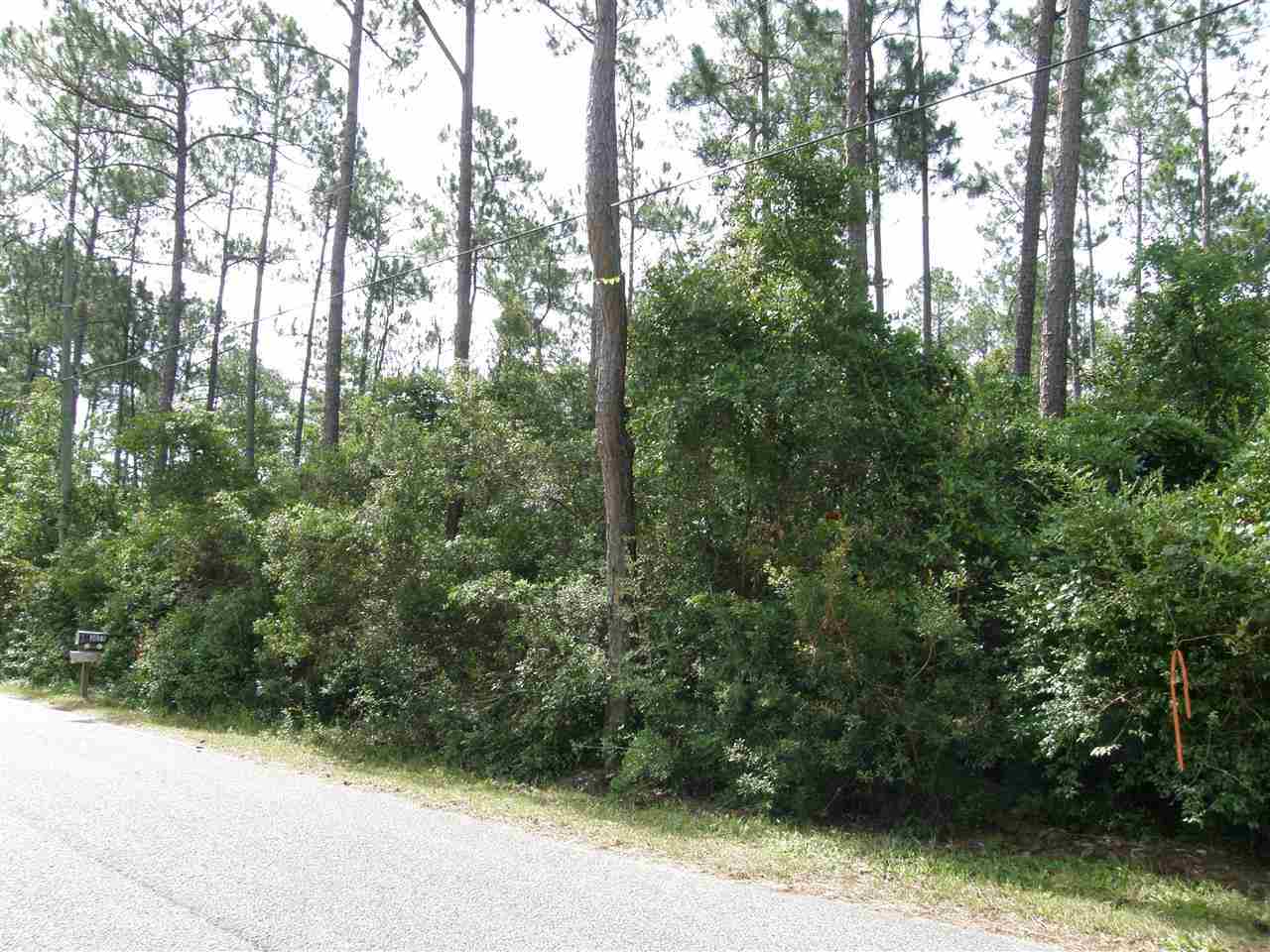 6.41-ac Robinson Point Road Milton, FL 32583 - Photo 3 of 7